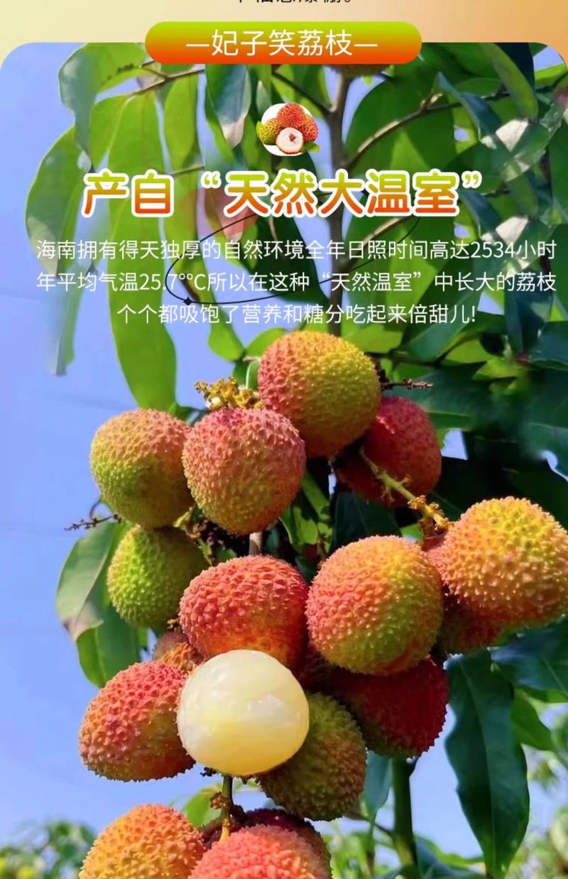 海口美兰区电商